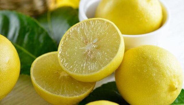 تصویر 1 از قیمت خرید لیمو شیرین + فروش ویژه